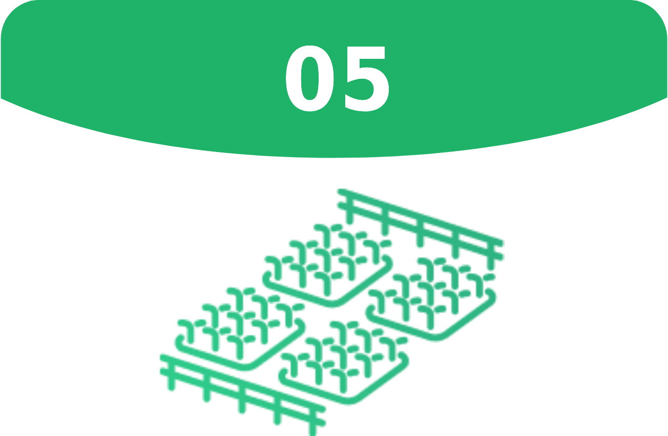 Step 5